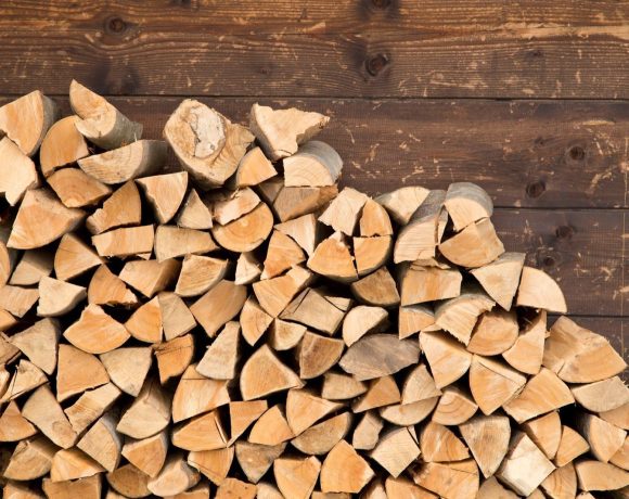 Prețul lemnelor de foc în toamna 2024: Cât costă un metru cub și ce alternative au românii