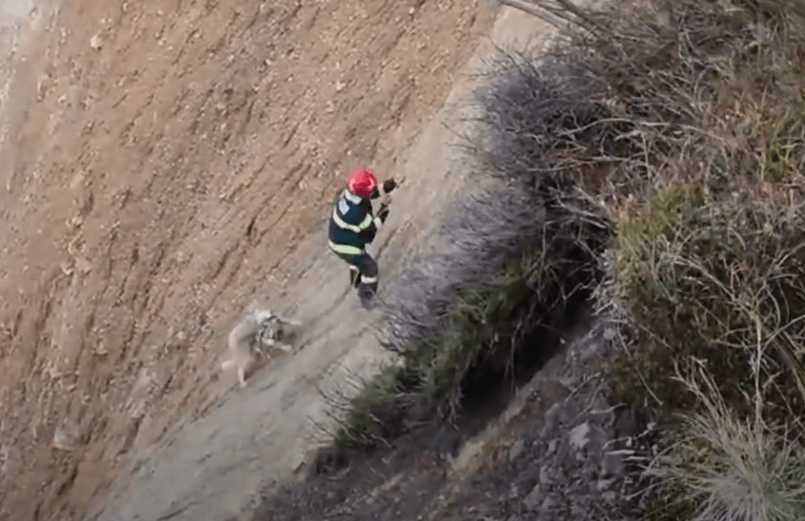 Pompierii bihoreni au salvat un câine căzut în Groapa Ruginoasă: Operațiunea de salvare a durat o oră - FOTO
