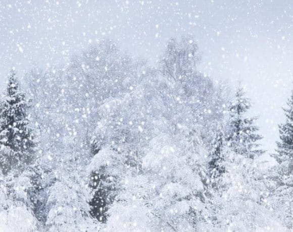 Cod galben de ninsori și viscol în județul Brașov: strat de zăpadă de până la 20 cm la munte