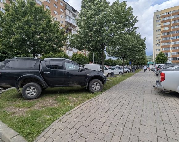 Cocalar din Alba! Și-a scos ”măgarul” la ”păscut” pe spațiul verde - FOTO