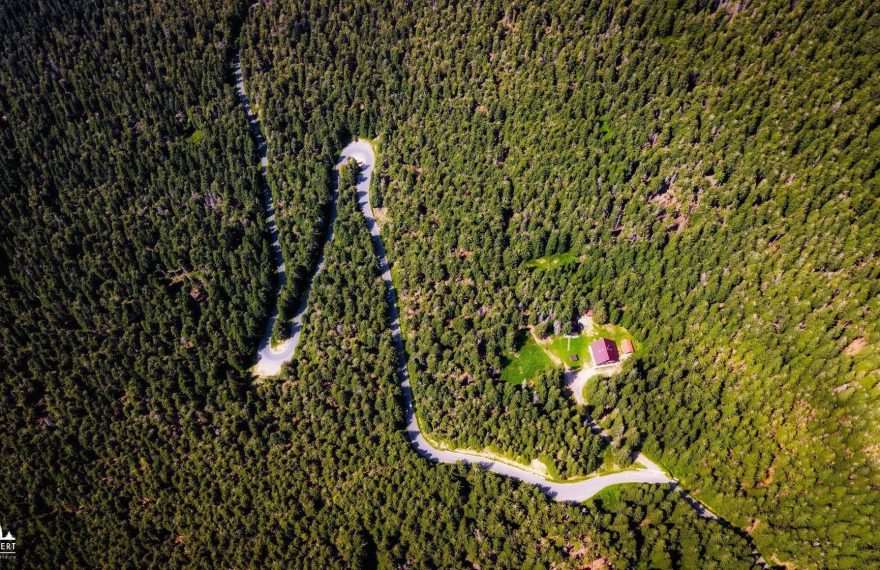 Cuvinte și expresii ardelenești uzuale