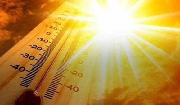 Cod Galben de Caniculă în Hunedoara