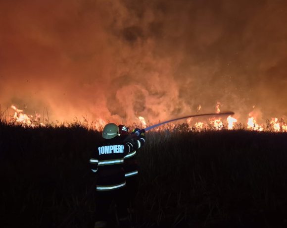 Incendiu puternic în Alba! A ars vegetația uscată din comuna Livezile - VIDEO