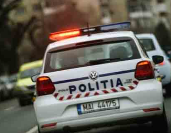 Alba - Stâlp de electricitate căzut pe drum între Albac și Horea