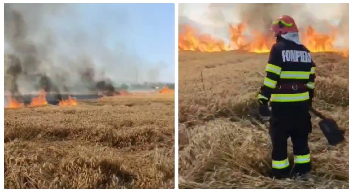 Calamitate într-o localitate din Ardeal! Cineva a dat foc culturilor de grâu - VIDEO