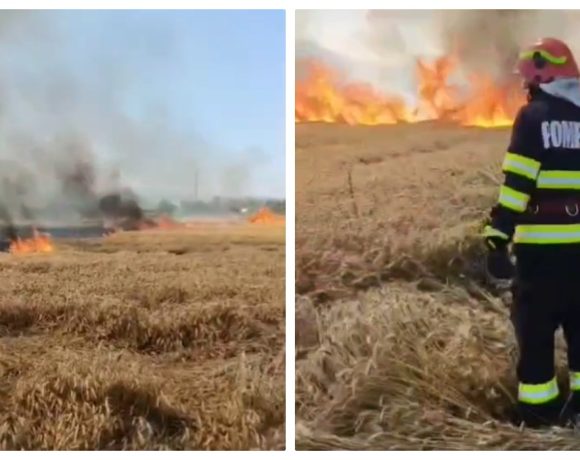 Calamitate într-o localitate din Ardeal! Cineva a dat foc culturilor de grâu - VIDEO
