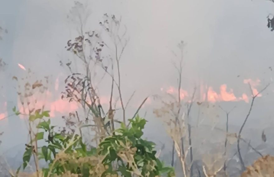 Incendii de vegetație uscată în Zona Industrială din Oradea și la Dumbrava – Pompierii bihoreni au salvat hale industriale de la distrugere