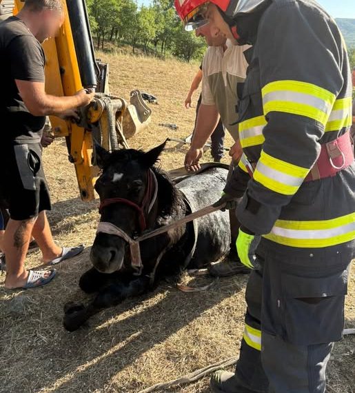 Cal salvat de pompieri după ce a căzut într-o fântână la Marca, județul Sălaj - FOTO