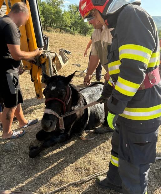 Cal salvat de pompieri după ce a căzut într-o fântână la Marca, județul Sălaj - FOTO