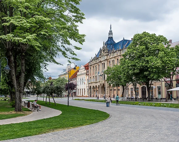 Spaniol bolnav și fără venituri, găzduit la adăpostul de noapte din Satu Mare. Instanța i-a respins cererea de revocare a ordinului de protecție