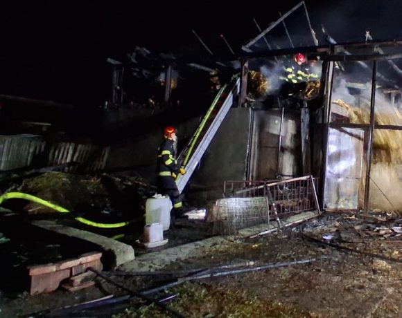 Incendiu puternic în Bihor! Pompierii au salvat distrugerea unei case