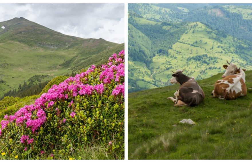 Sate de poveste în Bistrița-Năsăud. Pe lângă ”Marea de la munte” sunt și alte zone care te vor cuceri