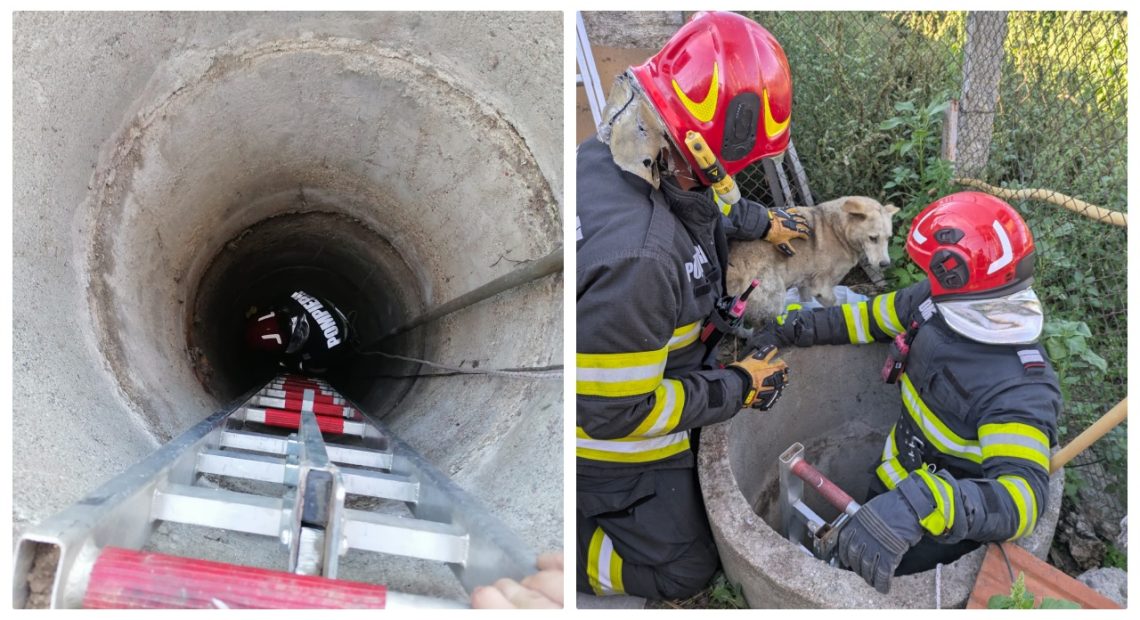Intervenție a pompierilor la Vințu de Jos: un câine a fost salvat dintr-o fântână de 6 metri adâncime