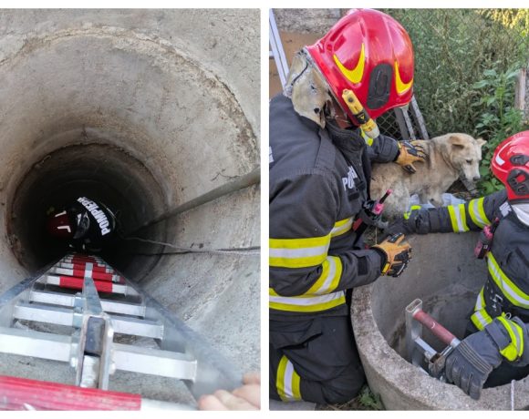 Intervenție a pompierilor la Vințu de Jos: un câine a fost salvat dintr-o fântână de 6 metri adâncime