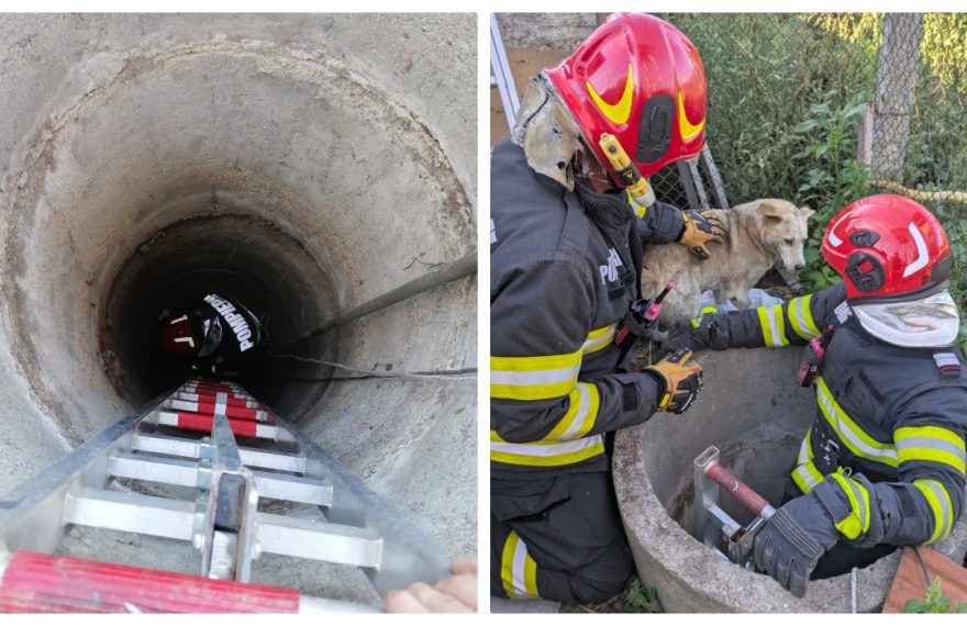 Intervenție a pompierilor la Vințu de Jos: un câine a fost salvat dintr-o fântână de 6 metri adâncime