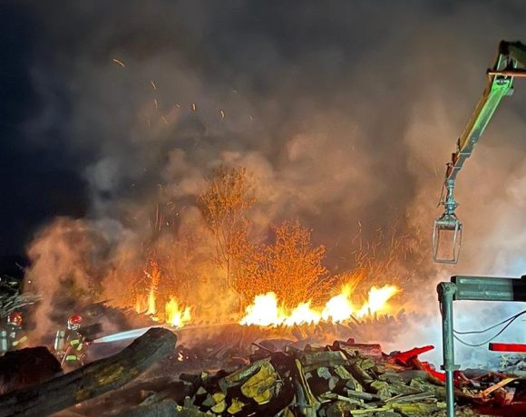 Incendiu de amploare la un depozit de bușteni din Finiș, Bihor – pompierii au salvat hala și utilajele de prelucrare a lemnului - FOTO și VIDEO