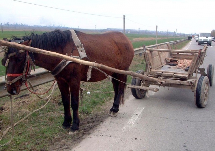 Două persoane au căzut dintr-un atelaj hipo la Spermezeu. SMURD a intervenit de urgență
