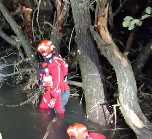 Tragedie la pescuit în Bihor – Un bărbat de 73 de ani a fost găsit înecat în Crișul Negru - FOTO