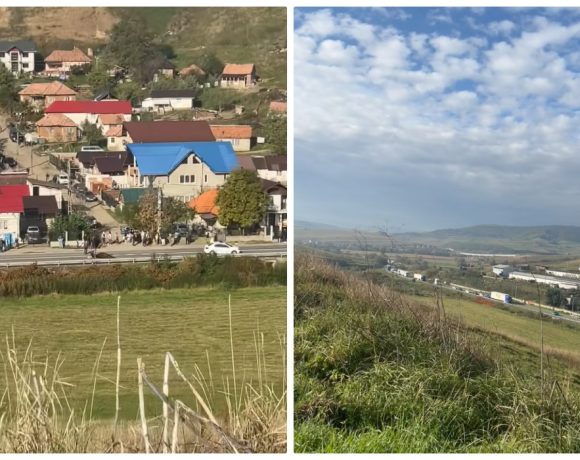 Accident neobișnuit la Sânpaul, județul Cluj - Autoturism implicat într-un incident cu un cal. Trafic blocat temporar - FOTO