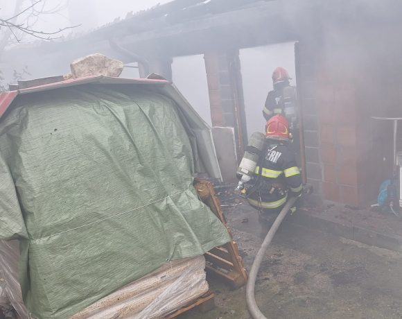 Incendiu la un cabinet veterinar din Hidișelu de Sus - VIDEO