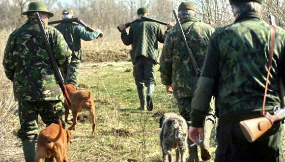 Caz halucinant în Hunedoara! Un inconștient a împușcat câinele unui bărbat care era în pădure