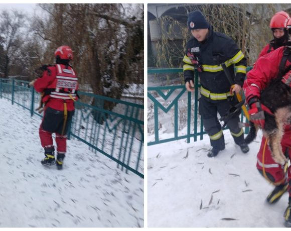 Câine salvat de pompieri din Bihor din apele înghețate - FOTO