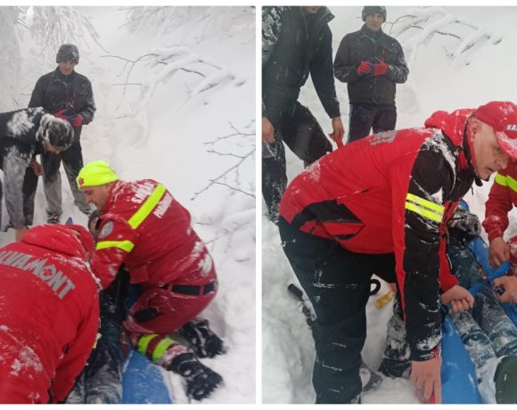 Bărbat rănit de un copac prăbușit în Rodna, Bistrița-Năsăud - FOTO