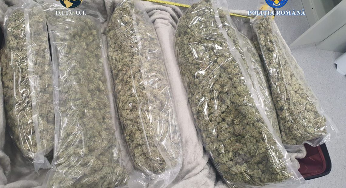 Trafic de droguri de mare risc în Maramureș: Un bărbat și o femeie, reținuți de DIICOT