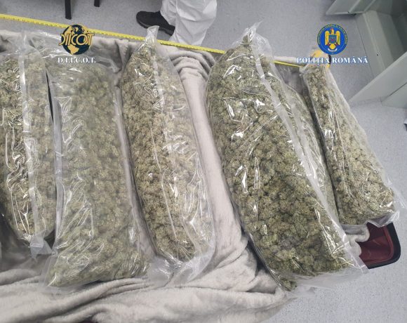 Trafic de droguri de mare risc în Maramureș: Un bărbat și o femeie, reținuți de DIICOT