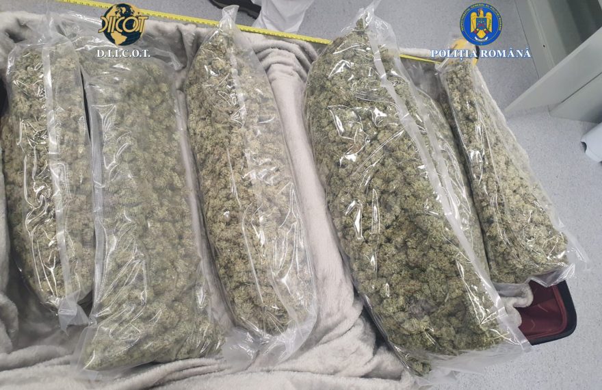 Trafic de droguri de mare risc în Maramureș: Un bărbat și o femeie, reținuți de DIICOT