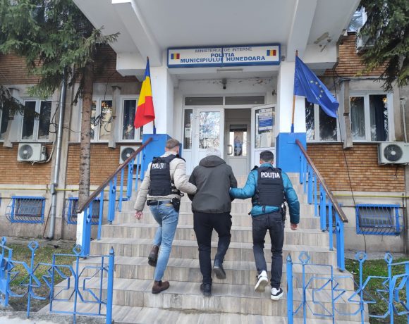 Raiul contrabandei de țigarete este în Hunedoara. A treia captură impresionantă în cîteva zile - VIDEO