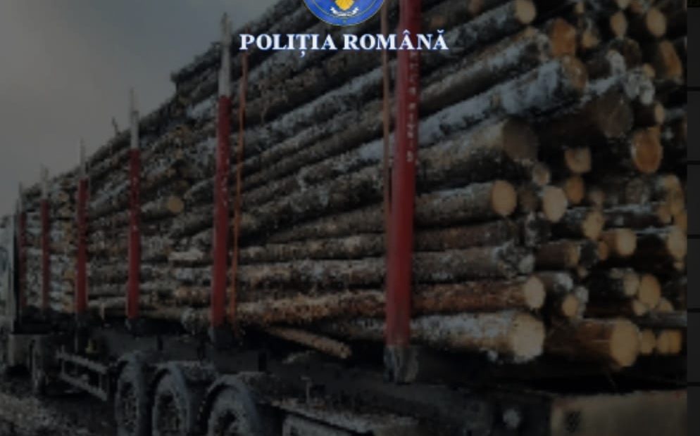 Lemne confiscate în Harghita! S-a aplicat o amendă mică față de jaful produs