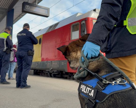 Pakistanezi depistați ilegal în tren la Simeria. Fugeau spre Occident - FOTO