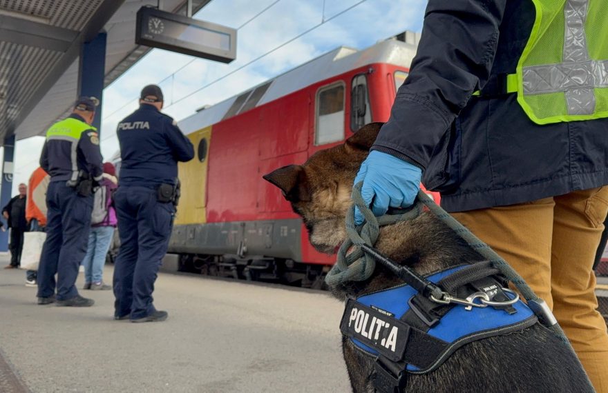 Pakistanezi depistați ilegal în tren la Simeria. Fugeau spre Occident - FOTO