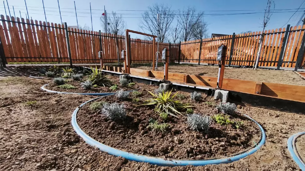 Investiție de 164.500 de euro într-o ”grădina de ploaie” în Satu Mare. Proiect cu scop nobil