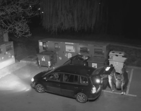Țărănoii care au aruncat varza murată într-o pubelă din Aiud, identificați și amendați - VIDEO