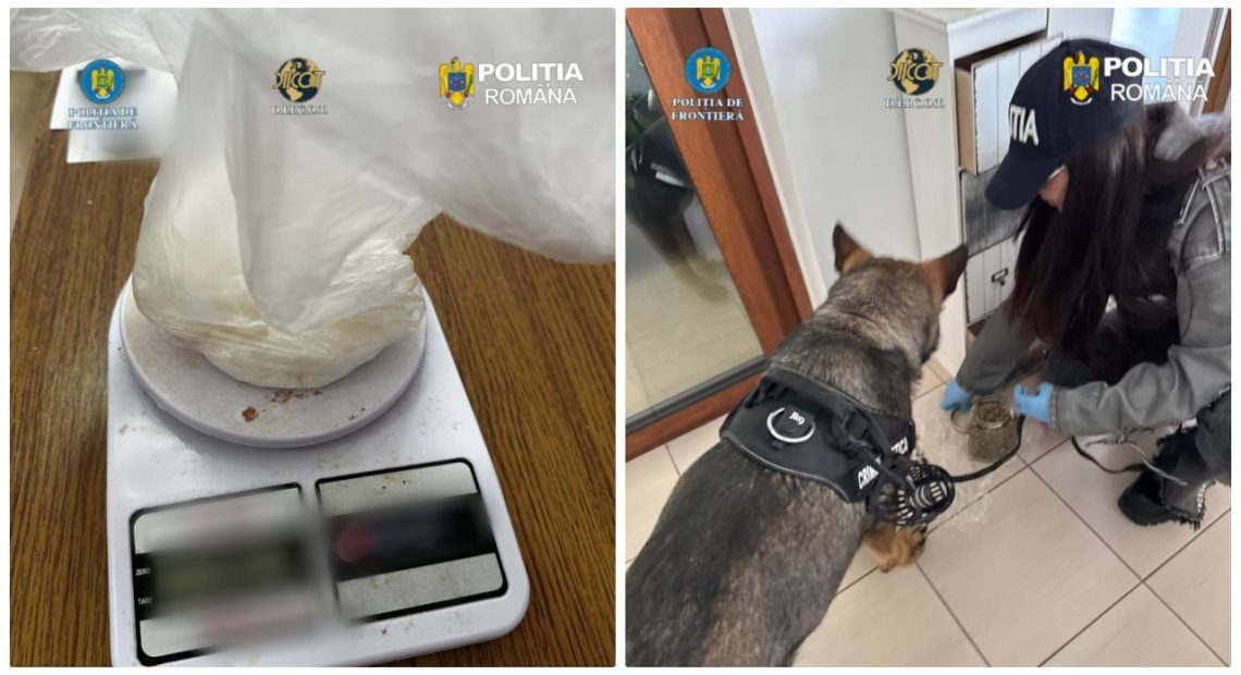 Traficanți de droguri reținuți în Satu Mare. Formau o rețea a răului