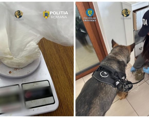 Traficanți de droguri reținuți în Satu Mare. Formau o rețea a răului